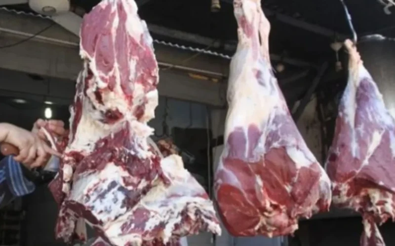 أسعار اللحوم اليوم الجمعة في الأسواق ومستودعات الزراعة ووطنية مستقرة ومتاحة